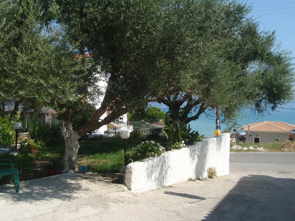 Apartament Billy's Amoudi